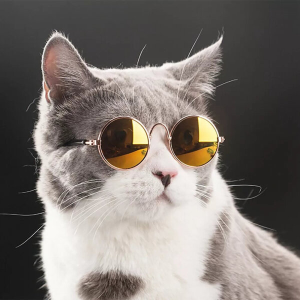 Солнцезащитные очки для кошек, собак, животных, для фото, цвет желтый