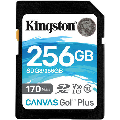 Карта памяти Kingston Canvas Go! Plus SDXC 256GB UHS-I U3 V30 A2 R170/W90MB/s (SDG3/256GB)