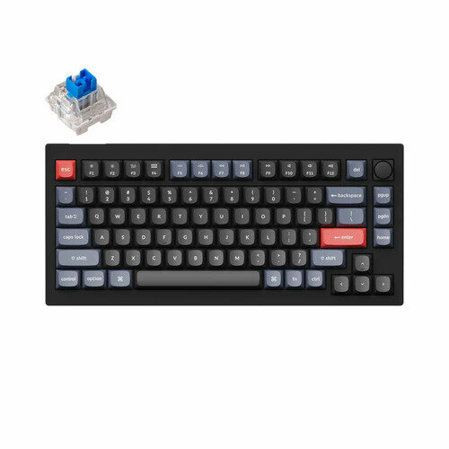 Keychron V1 TKL Knob Version RGB Black Blue Switch