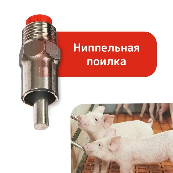 Поилка ниппельная для свиней, диаметр резьбы 1/2", металлическая (арт. 9201311)