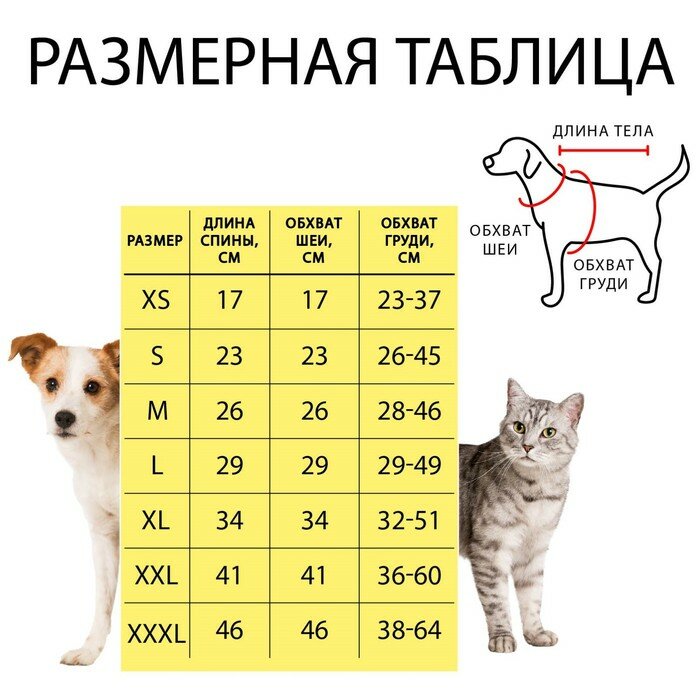 Пижон Свитер "Полоски", M (ДС 26, ОШ 26, ОГ 28-46 см) - фотография № 10