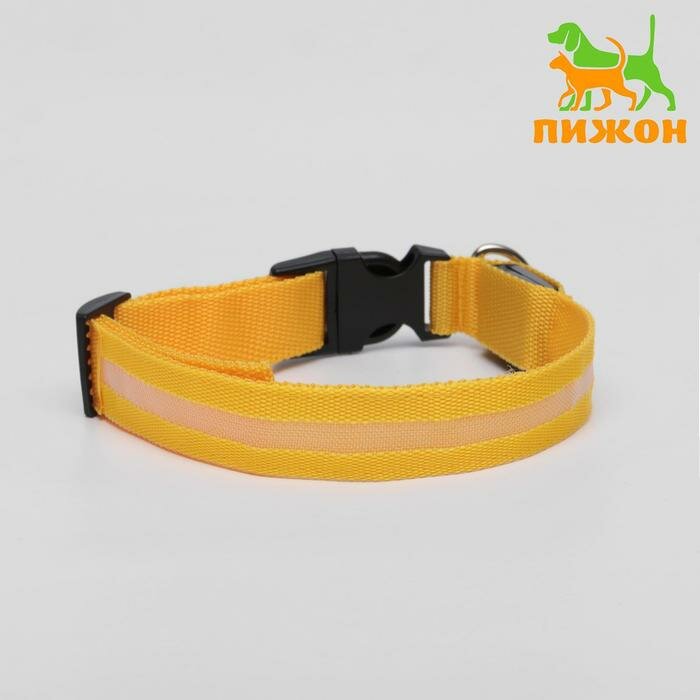фото Ошейник с подсветкой размер XL,ОШ 52-60 х 2,5 см, 3 режима свечения жёлтый
