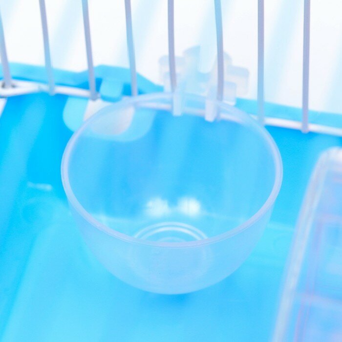 Клетка для грызунов с колесом и поилками, 22 х 16 х 20 см, голубая - фотография № 4