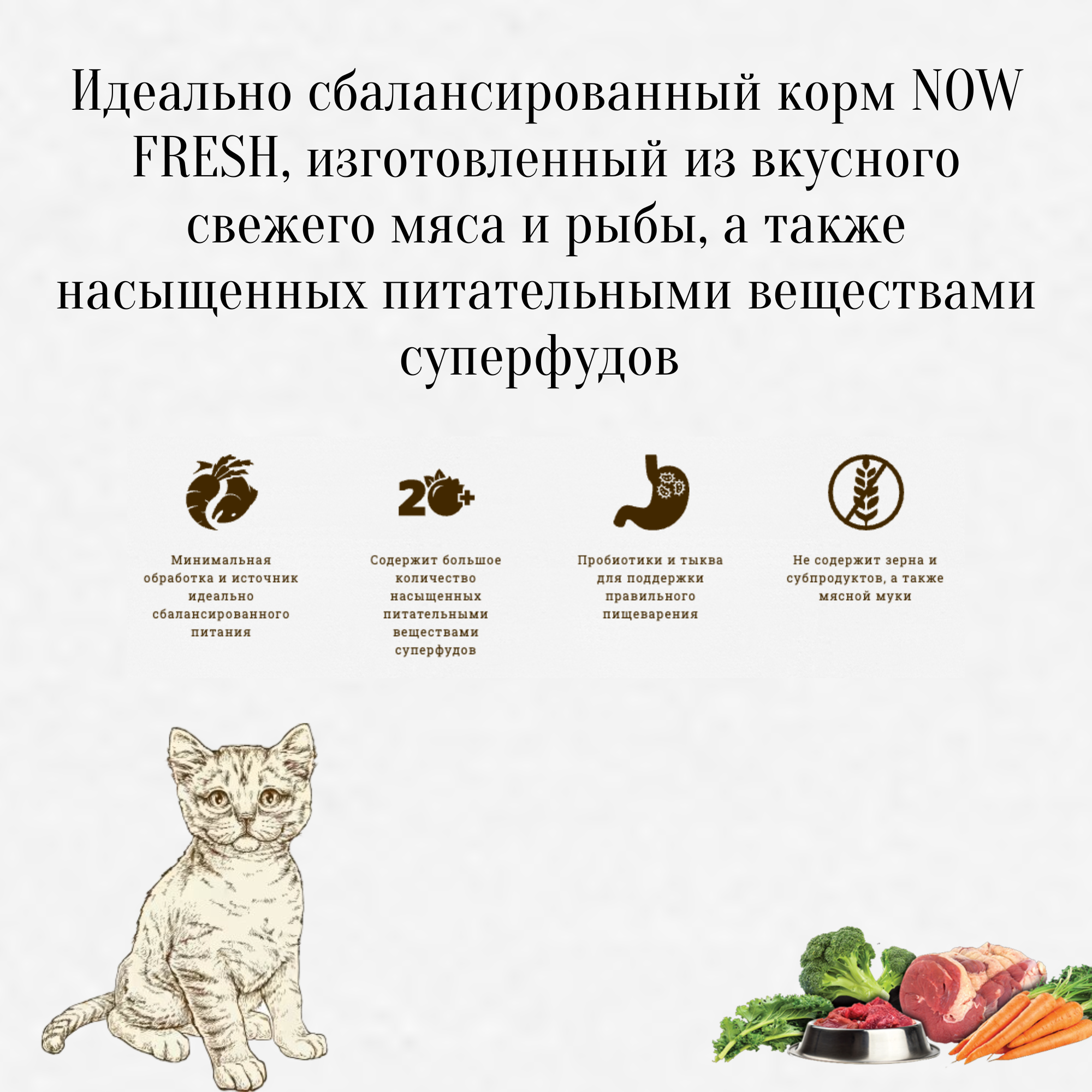 NOW Fresh беззерновой корм для котят с индейкой, уткой и овощами - фотография № 4