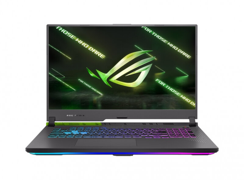 Игровой ноутбук ASUS ROG Strix G17 G713RM-KH100 (90NR08K5-M00B10)