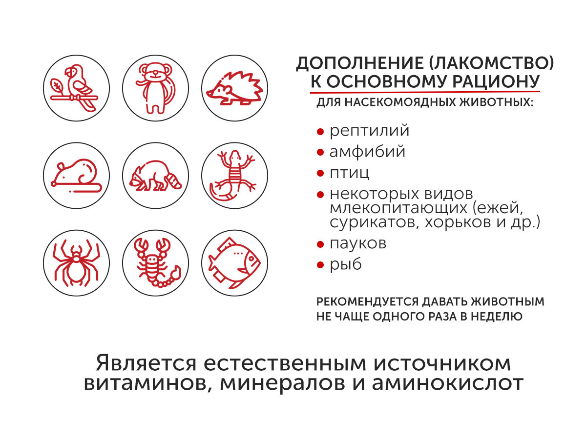 Кормовые насекомые "Замороженный зофобас", 500 г, в термопакете - фотография № 4