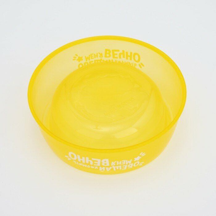 Миска пластиковая «Обещай кормить меня вечно», 300 мл, желтый - фотография № 4