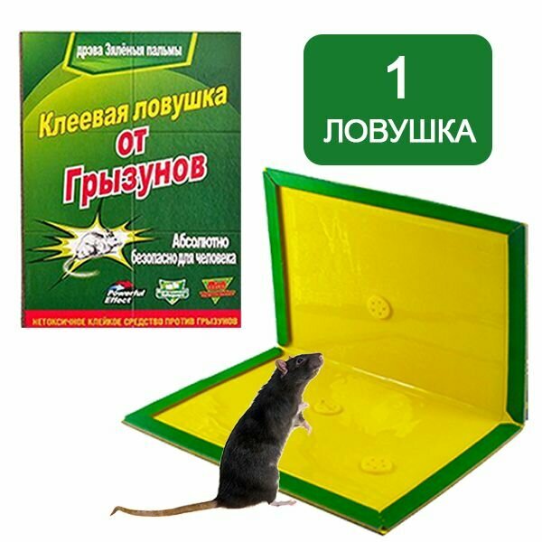 Средство от мышей и крыс: Клеевая ловушка - 1 шт. - фотография № 1