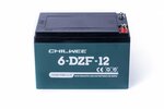 Батарея аккумуляторная тяговая CHILWEE 6-DZM-12 - изображение