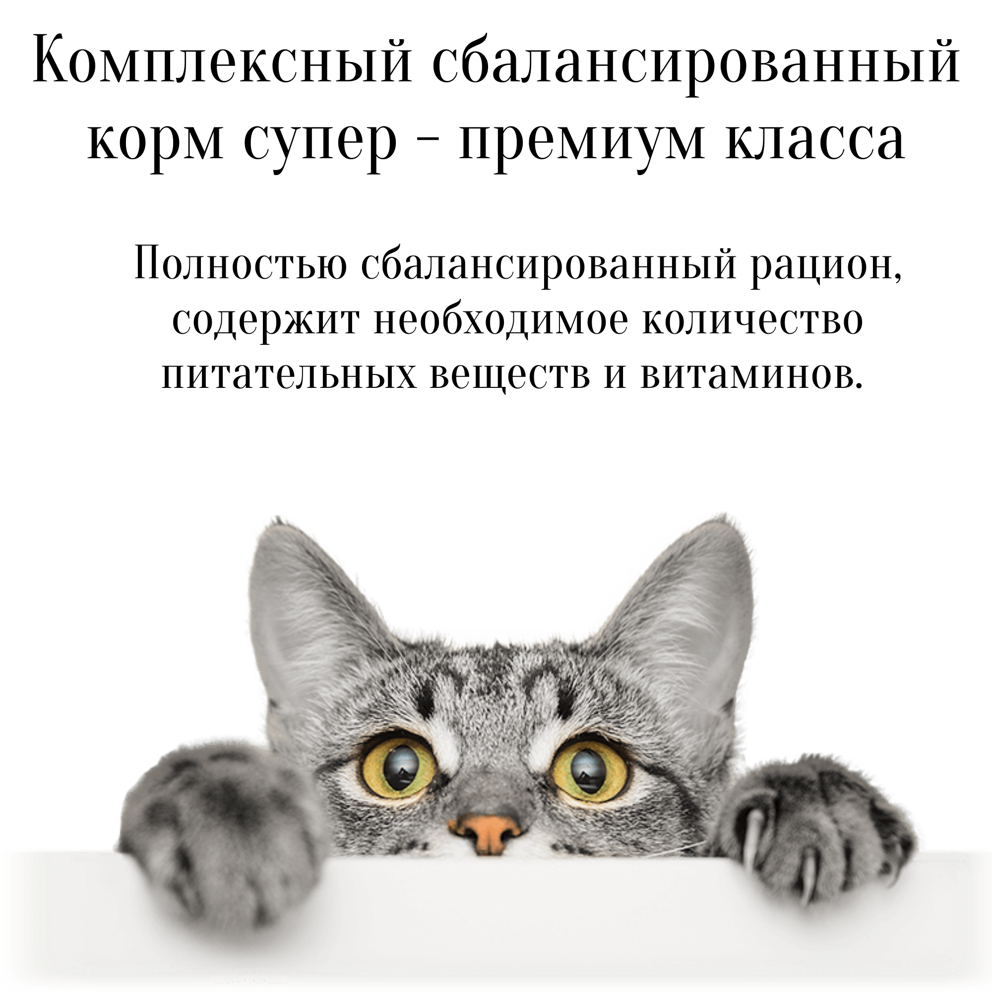Gina сухой корм для взрослых кошек с чувствительным пищеварением (cat sensible Serbia) - фотография № 4