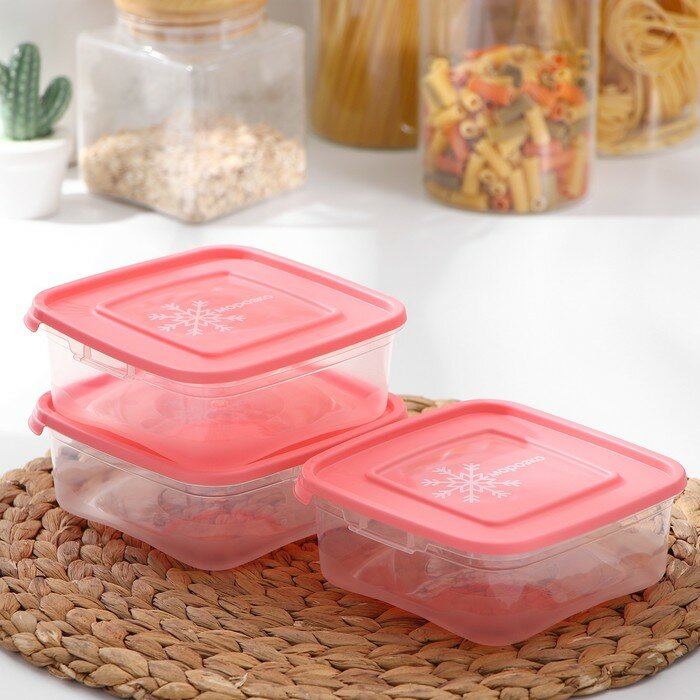 Полимербыт Набор контейнеров для замораживания продуктов «Морозко», 3 шт, 700 мл, цвет микс