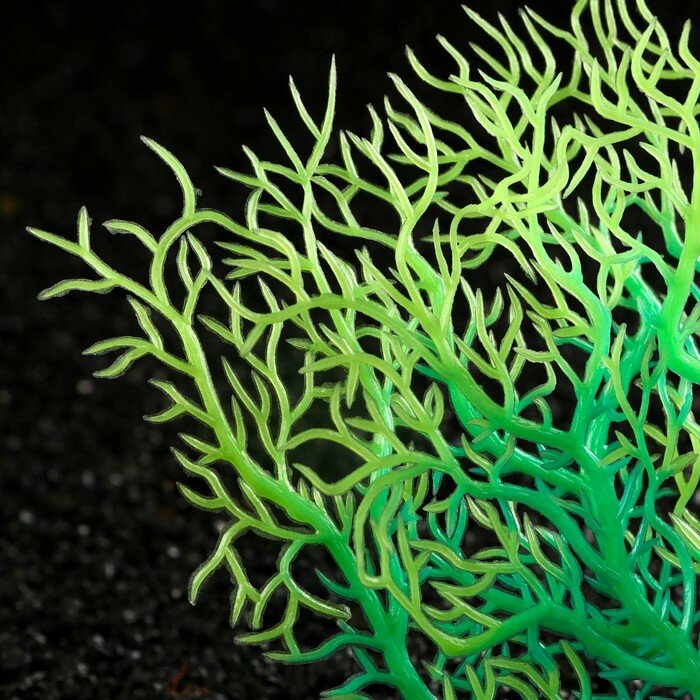 Растение искусственное аквариумное, светящееся, 15 см, зелёное - фотография № 2