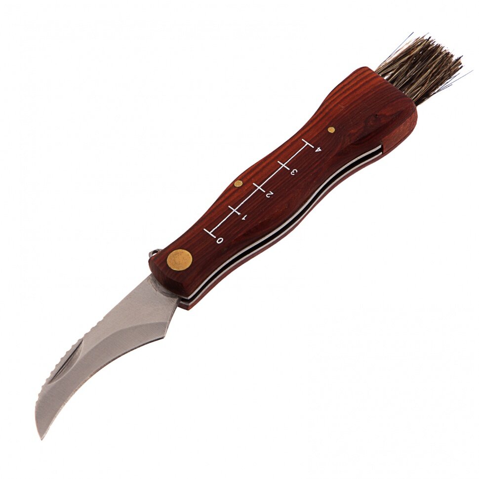 PALISAD Нож грибника складной, 145 мм, деревянная рукоятка, Palisad - фотография № 2