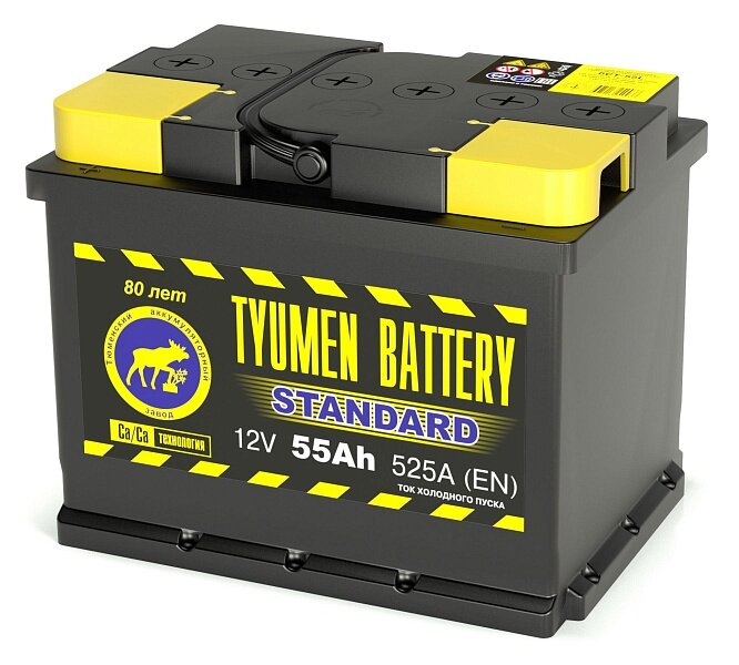 Аккумулятор автомобильный TYUMEN BATTERY STANDARD 6СТ-55 обр 242x175x190