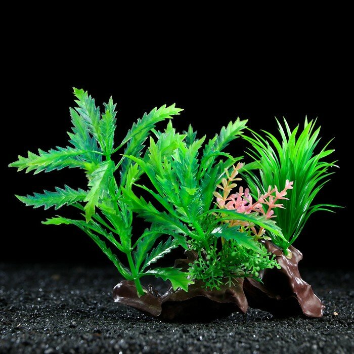Растение искусственное аквариумное на платформе в виде коряги, 18 см, зелёное - фотография № 1
