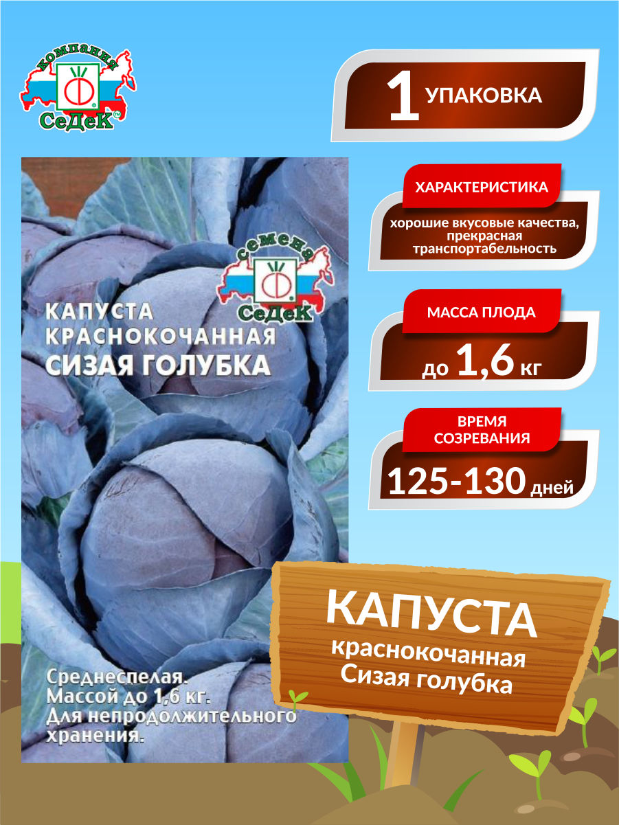 Семена Капуста краснокочанная Сизая голубка Среднеспелые 05 гр.