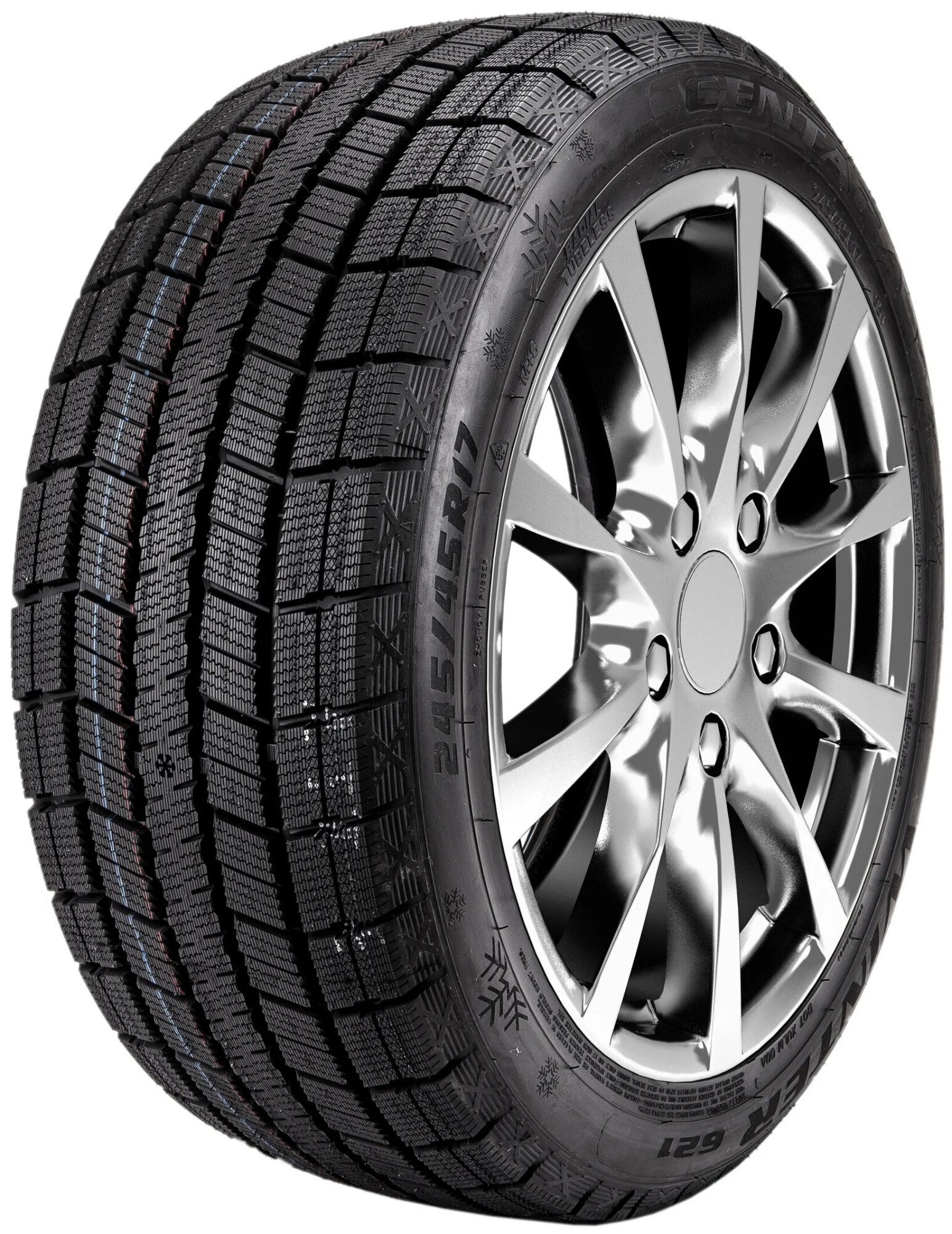 Зимние шины Centara Winter RX621 205/55 R16 90T