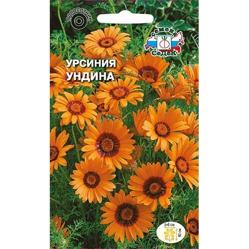 Урсиния укропная Ундина 01г (Седек)