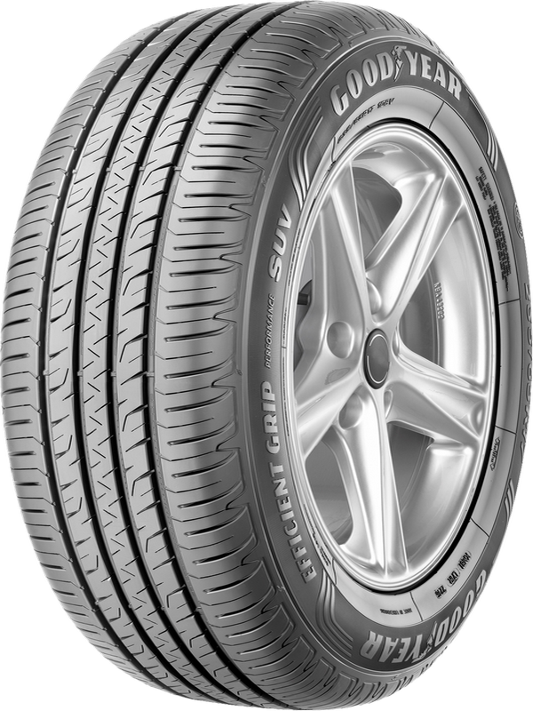 Goodyear Efficientgrip Performance C+ 215/50 R19 93T