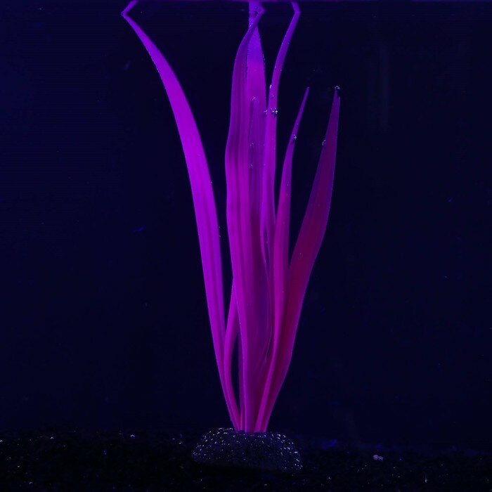 Растение силиконовое аквариумное, светящееся в темноте, 8 х 22 см, фиолетовое - фотография № 2