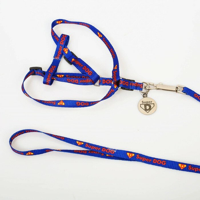 Пушистое счастье Комплект Super DOG, шлейка 26-39 см, поводок 120х1 см, медальон - фотография № 7