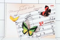 Тетрадь для нот спираль А4 24л "Бабочки" (альбом) Hatber 24ТдН4сп_03865
