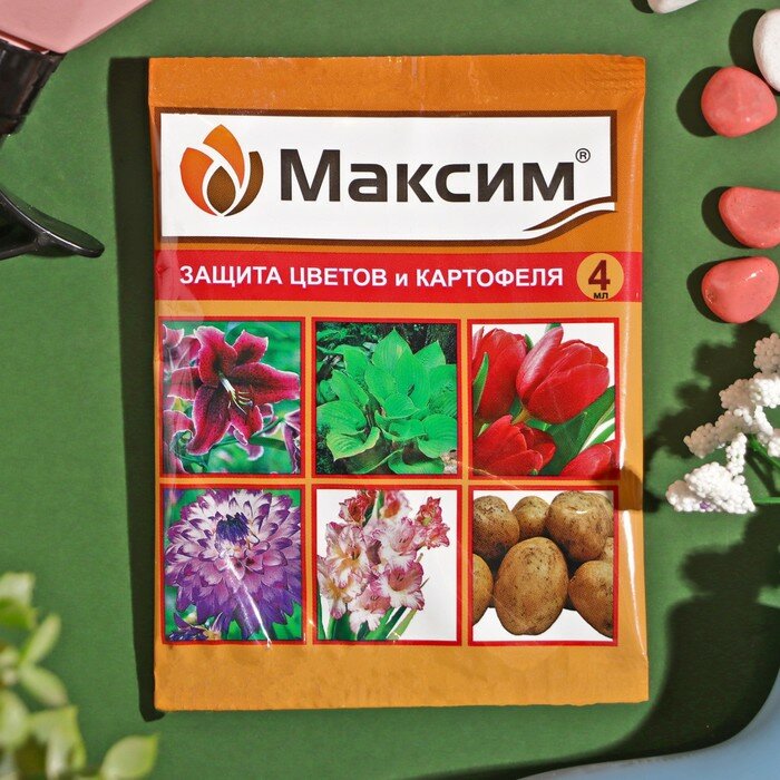 Средство от болезней растений "Максим", ампула, 4 мл - фотография № 1