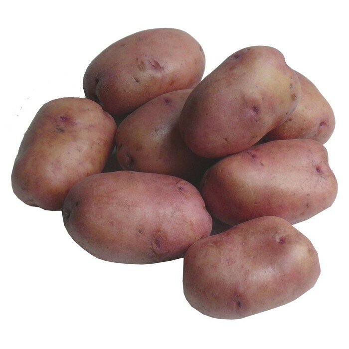 Семенной картофель "Мираж" 2 кг Супер Элита, р/р 28/55 - фотография № 2