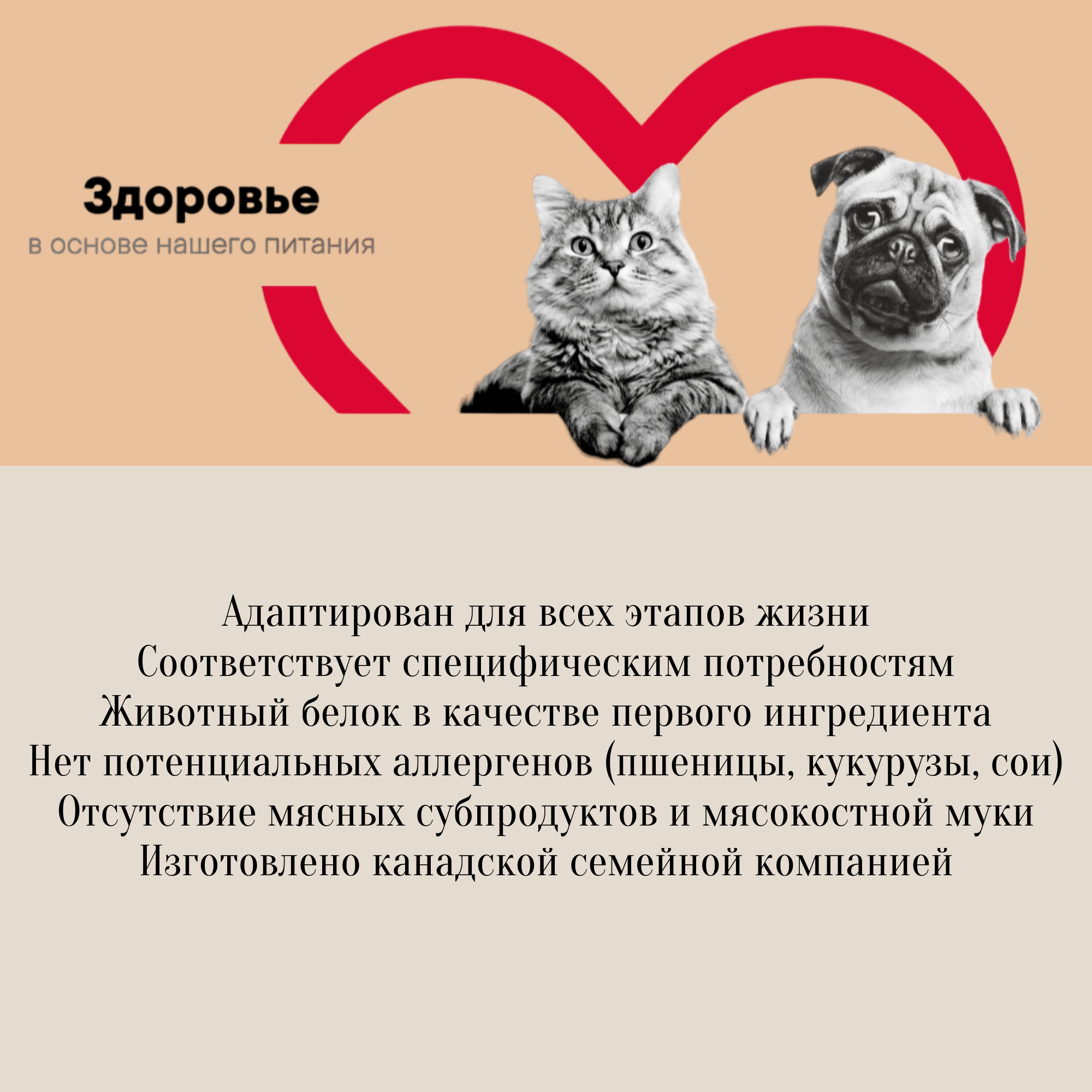 1st Choice корм для котят "здоровый старт" с цыпленком - фотография № 2