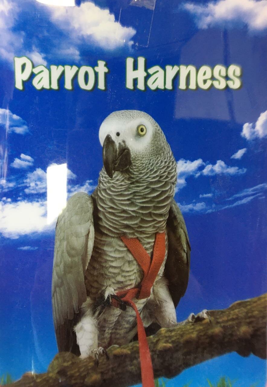 Parrot Harness шлейка для попугая L - фотография № 1