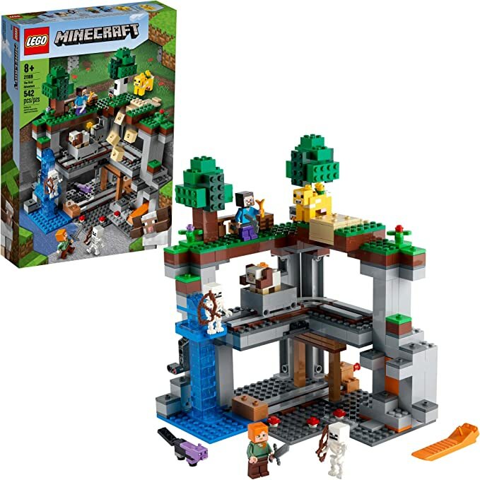 Конструктор LEGO Первое приключение Minecraft (21169)