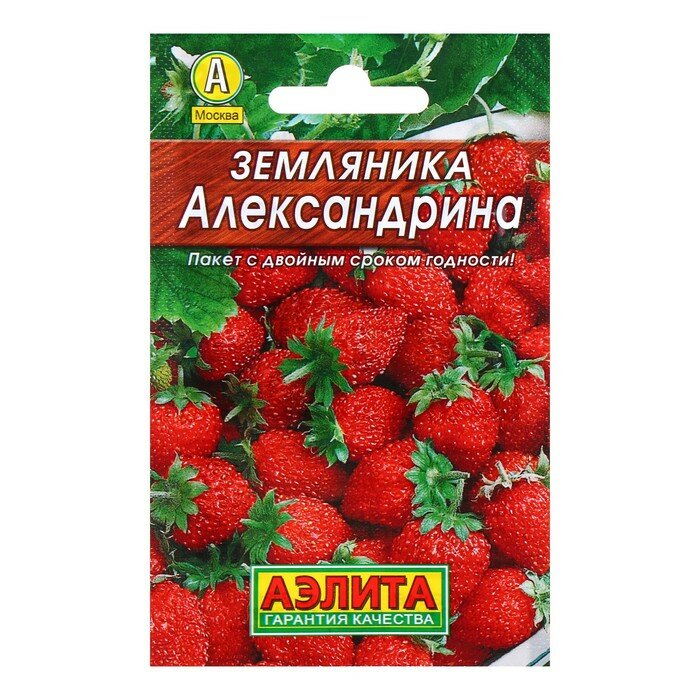 Семена Земляника 