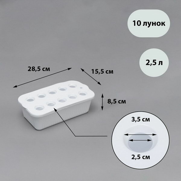 Ящик для рассады, 29 x 16 x 8.5 см, 2.5 л, 10 лунок, белый, 2 шт. - фотография № 1