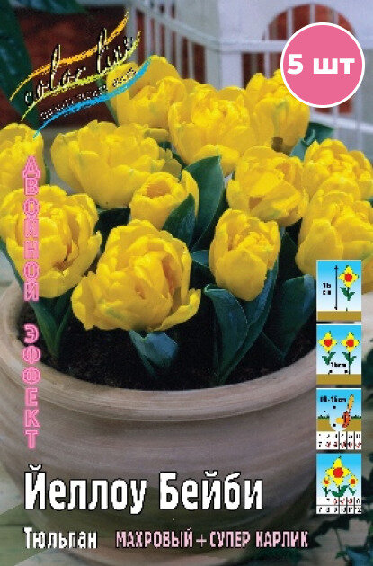 Луковицы тюльпана "Йеллоу Бейби" на посадку 5 шт - фотография № 1