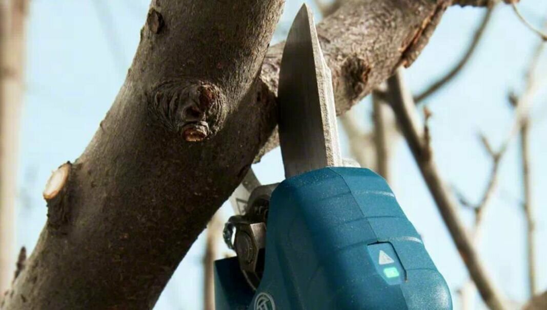 Аккумуляторный секатор Bosch Pro Pruner Professional, 3 Ач, 12 В - фотография № 4