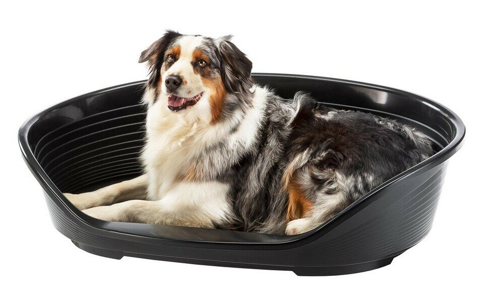 Пластиковый лежак для собак Siesta Deluxe 10 темно-серый - фотография № 8