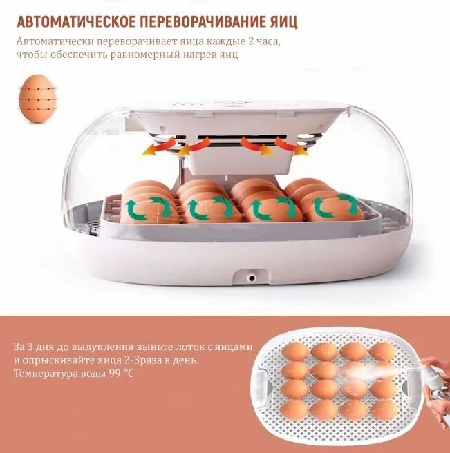 Инкубатор HHD автоматический переворот на 16 яиц с встроенным овоскопом - фотография № 2