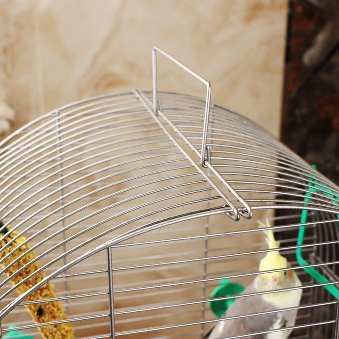 Пижон Клетка для птиц "Пижон" №101, цвет хром , укомплектованная, 41 х 30 х 65 см, зеленый микс - фотография № 4