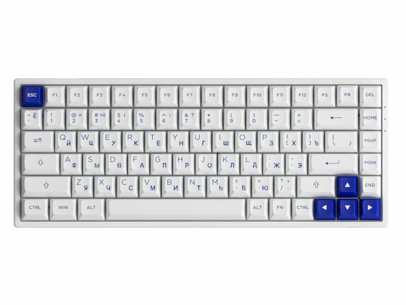 Клавиатура Akko 3084B RGB Plus Edition White-Blue 300672