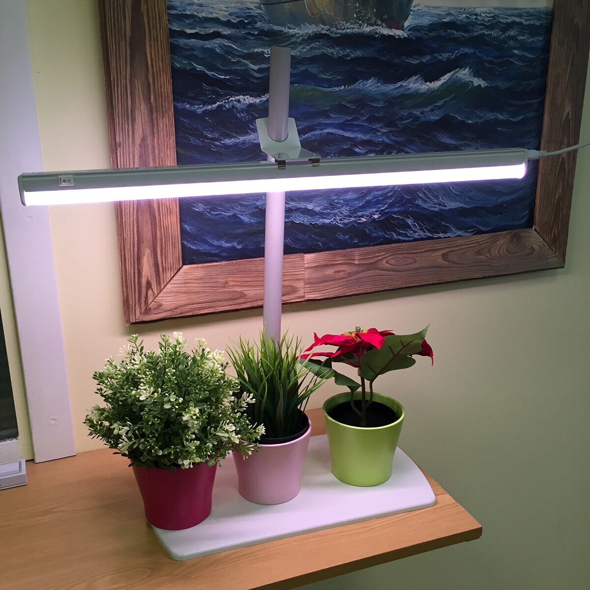 Растущий светодиодный led фитосветильник Здоровья Клад 9 Ватт для цветов - фотография № 6