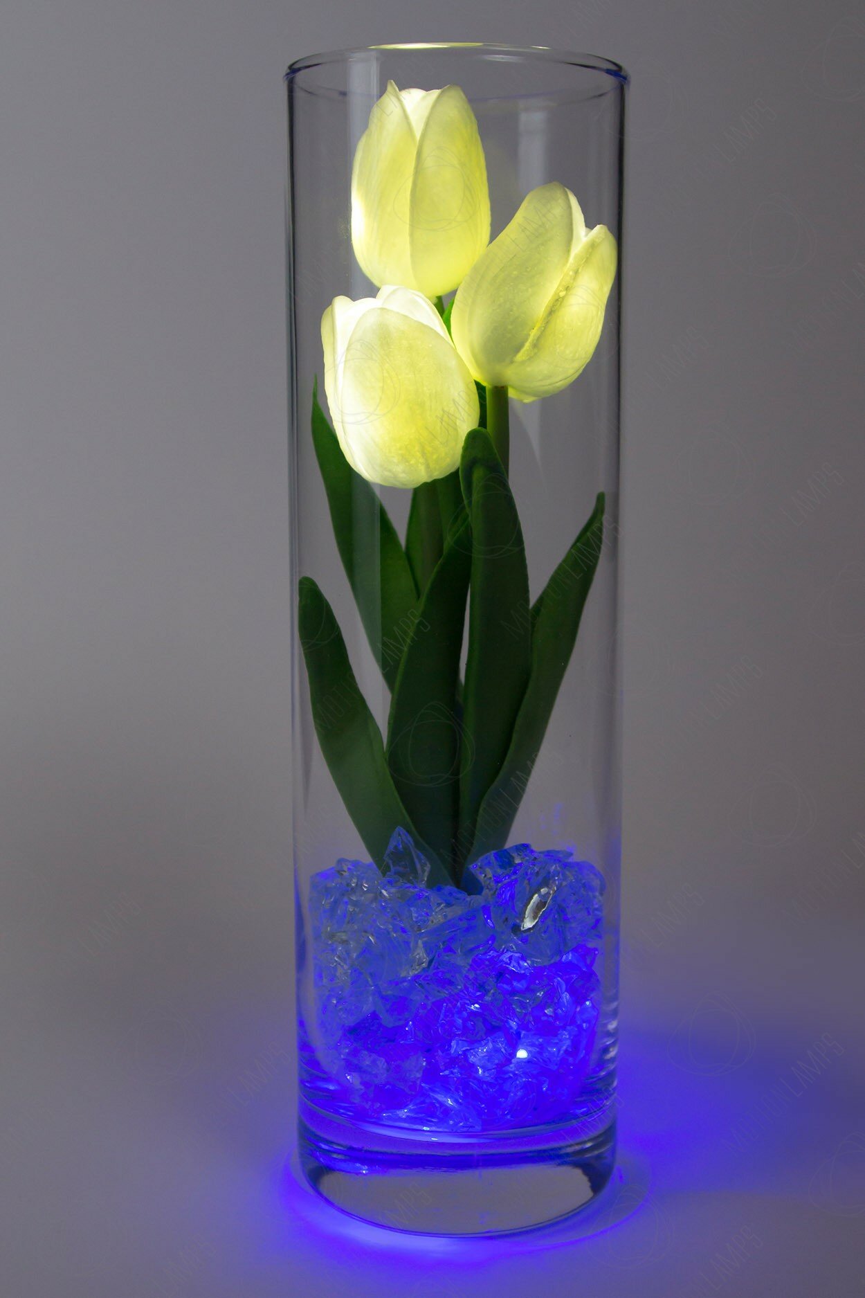 Ночник тюльпаны 3шт Белые(син)