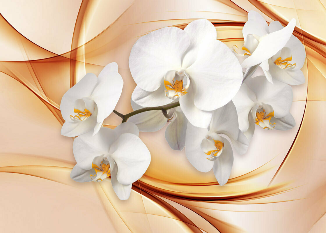 Моющиеся виниловые фотообои GrandPiK Белая орхидея на бежево-коричневом фоне 3D 200х145 см