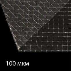 Плёнка полиэтиленовая, армированная леской, толщина 100 мкм, 10 х 2 м, УФ