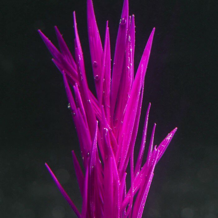 Растение силиконовое аквариумное, светящееся в темноте, 7 х 12,5 см, фиолетовое - фотография № 3
