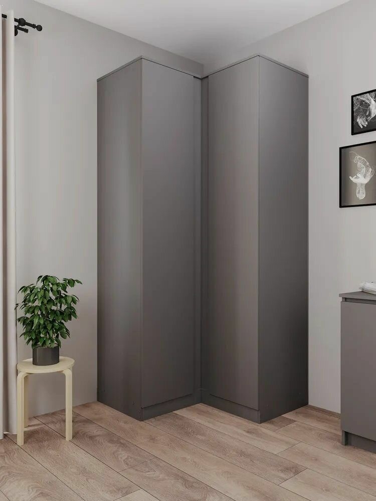 Шкаф распашной Для гостиной/для спальни/для дома/для квартиры/Для прихожей/для кабинета/для лоджии/для офиса, 96.5х50х210 см, ДСВ Мебель