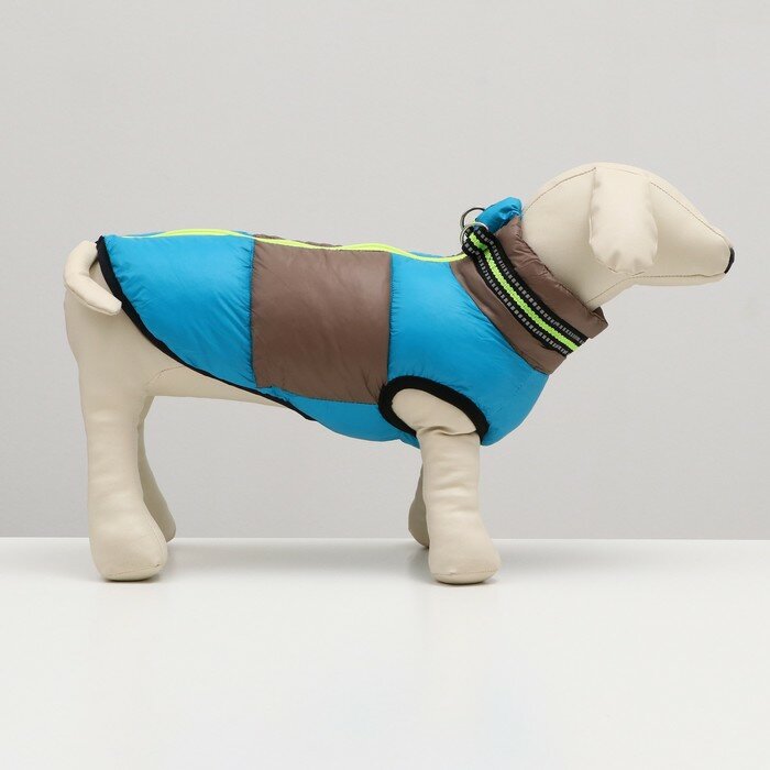 Куртка для собак на молнии, размер 16 (ДС 36 см, ОГ 46 см, ОШ 35 см), серо-голубая - фотография № 2