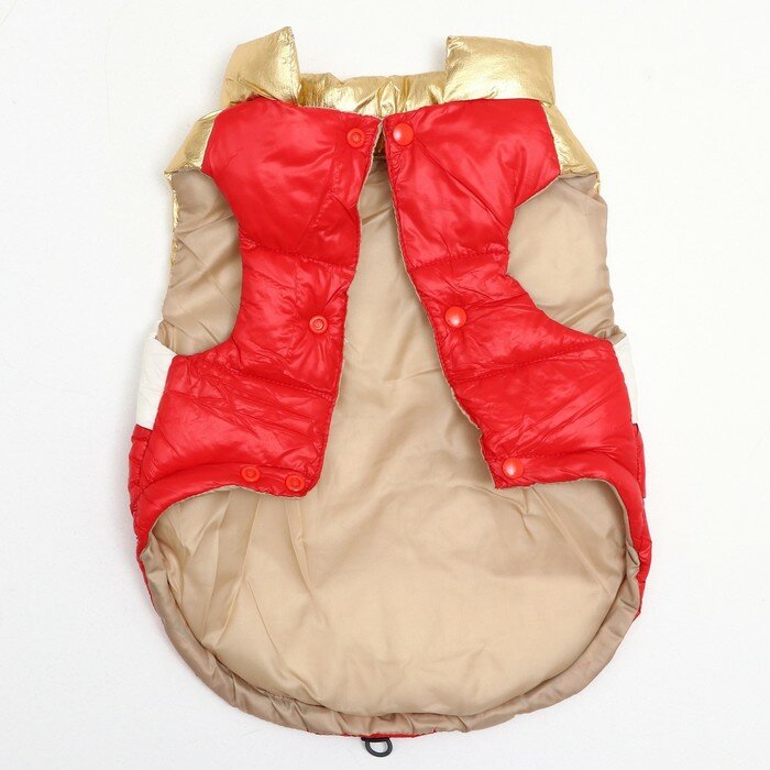 Куртка для собак с утяжкой размер 10 (ДС 25, ОГ 34,ОШ 24), золото-красная - фотография № 6