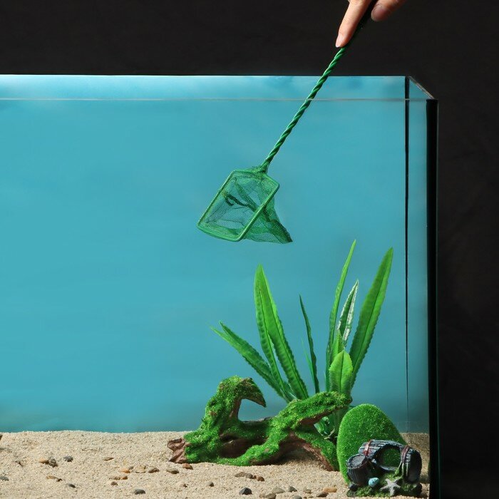 Сачок аквариумный 7,5 см, зелёный - фотография № 1