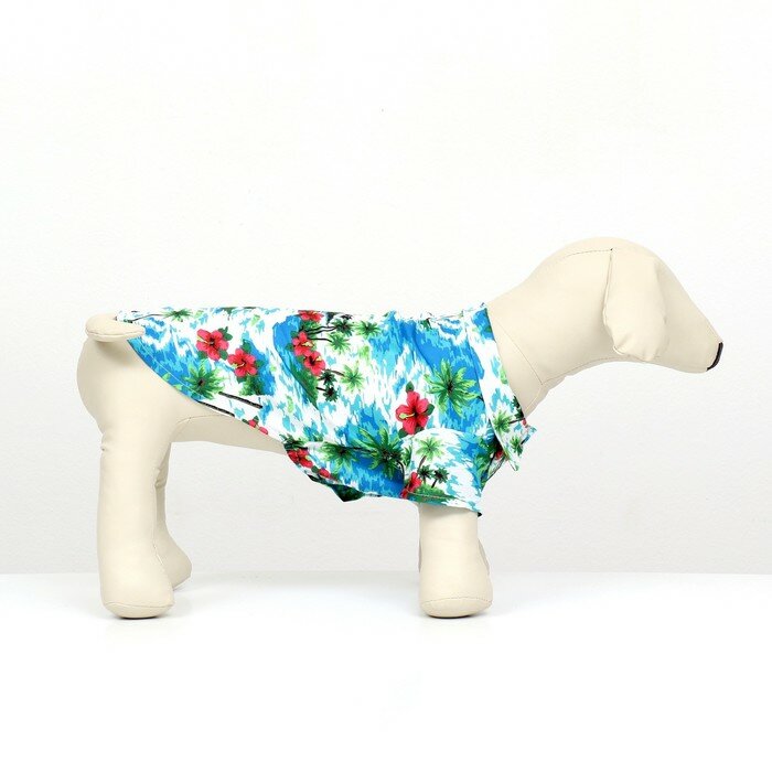 Рубашка для собак "Тропики", ХL (ДС 34, ОГ 44, ОШ 31 см), голубая - фотография № 2