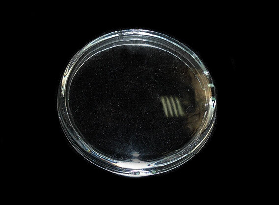 фото Стекло противотуманной фары левое/правое (1 шт.) для Субару Импреза GD 2005-2007 год выпуска (Subaru Impreza GD/GG) Forward BR0918H